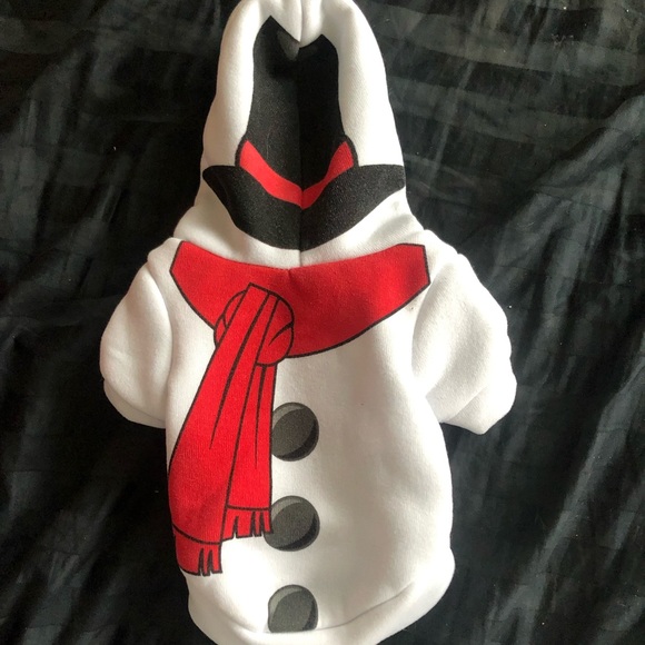 Other - Christmas pet costume